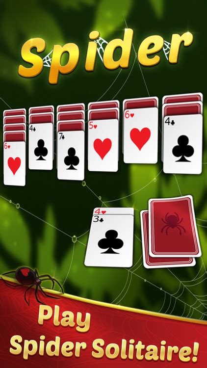 Spider Solitaire with Themes by WildTangent, Inc.