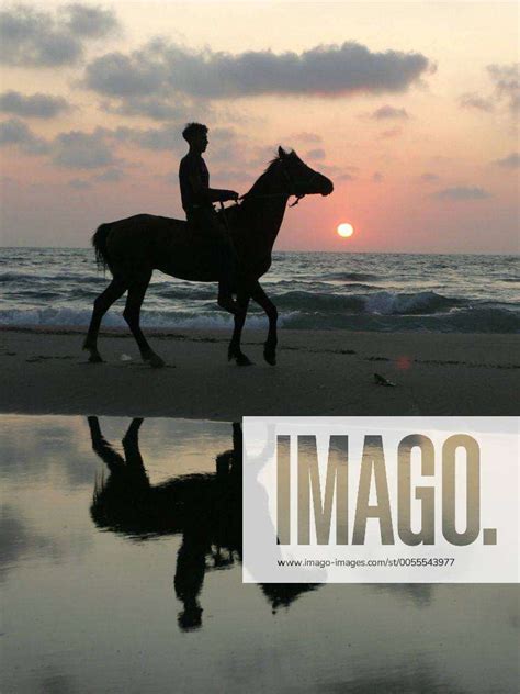 Palestinian man take a ride on a horse are seen at sunset on Gaza City ...