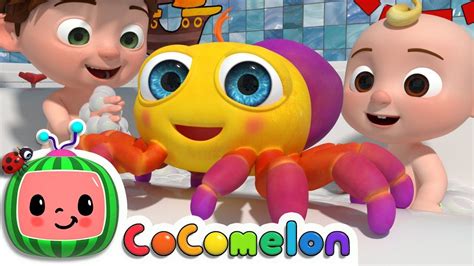 baby songs Itsy Bitsy Spider | CoCoMelon Nursery Rhymes & Kids Songs - the primary day school