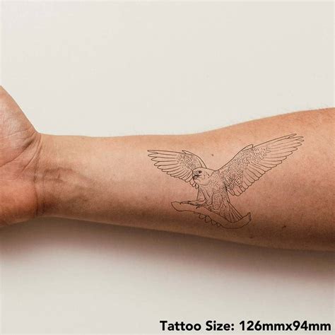 Aggregate more than 143 falcon tattoo images best - vova.edu.vn