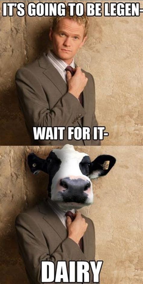 The Absolute Funniest Cow Puns | ViraLuck | Cows funny, Cow puns