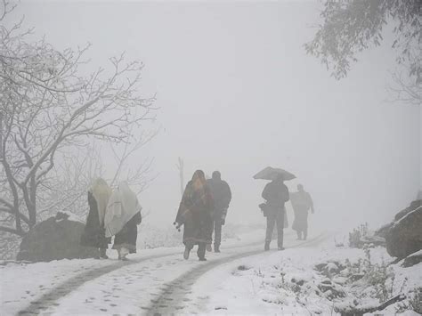 Photos: Snowfall near Srinagar