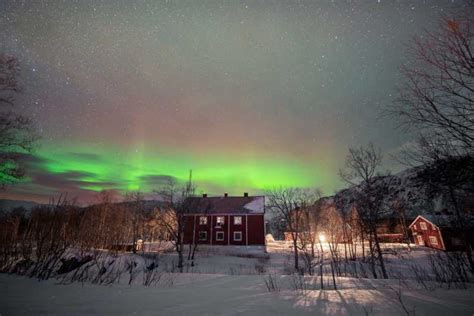 From Narvik: The Northern Lights Arctic Train Guided Tour | GetYourGuide