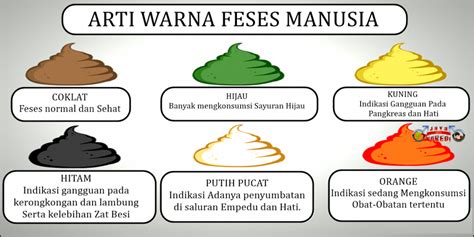 WARNA FESES INDIKATOR KESEHATAN ANDA | Sudi Podo Joyo Group