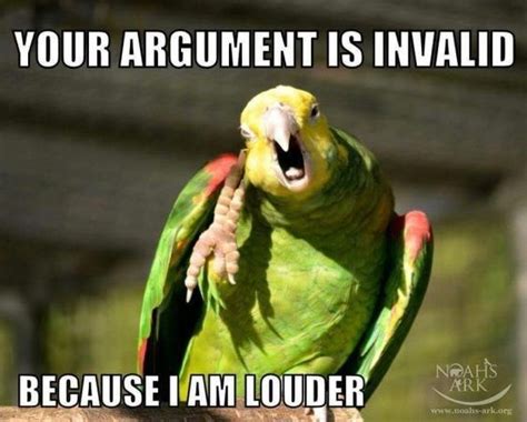 The best Bird meme!! | Parrot Forum 🦜 Parrot Owners Community