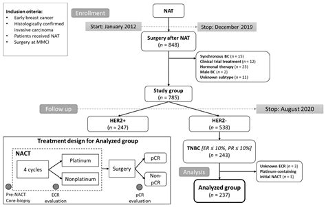 Cancers | Free Full-Text | Neoadjuvant Chemotherapy of Triple-Negative ...