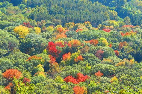 Wisconsin Fall Colors Photograph by Connor Ehlers - Fine Art America