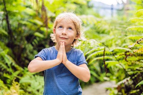 Cute Little Boy Praying in the Woods Stock Photo - Image of cute ...