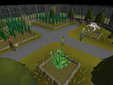 Farming Guild - OSRS Wiki