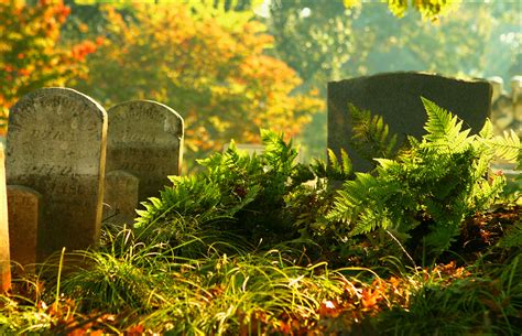 Gather Inspiration for Fall Gardens from Oakland Cemetery | Explore Georgia