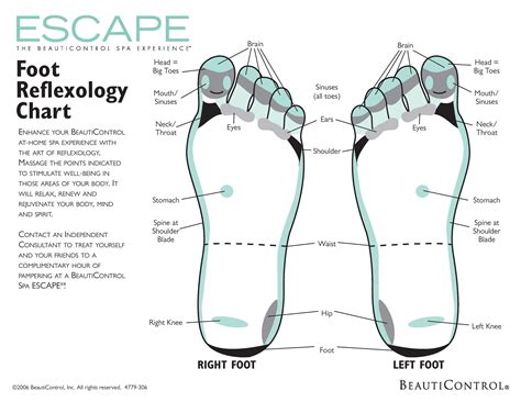 Printable Foot Reflexology Chart