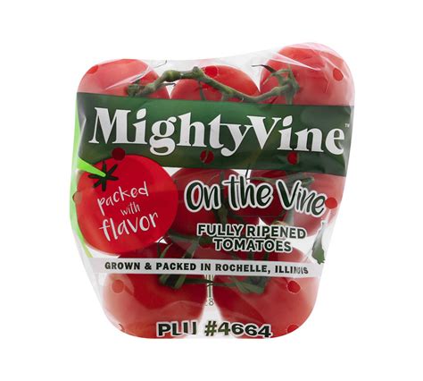 Tomatoes on the Vine – Multi Vendor Grocery Store