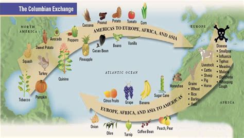 gio web picture: Columbian Exchange Food Chart