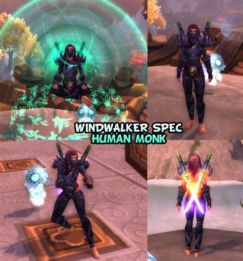 Transmog Sets: Windwalker monk by ColdBrush on DeviantArt