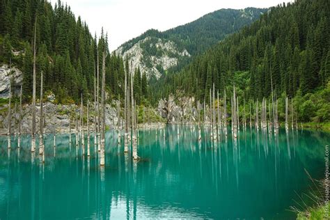 Sunken Forest – Kaindy Lake · Kazakhstan travel and tourism blog