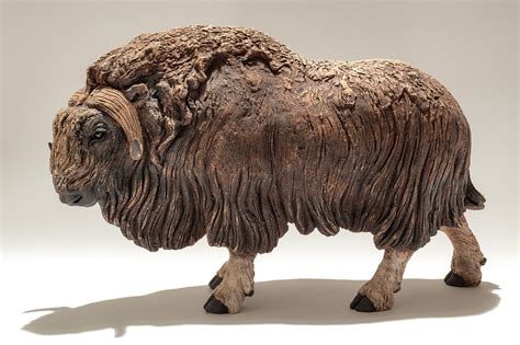 Musk Ox Sculpture - Nick Mackman Animal Sculpture