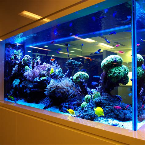 Kaca Aquarium - Harga Kaca - Varia Jaya