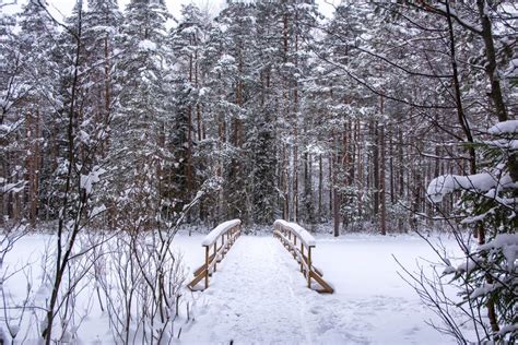 11 Ways to Survive (And Enjoy) Helsinki in Winter - Eternal Arrival