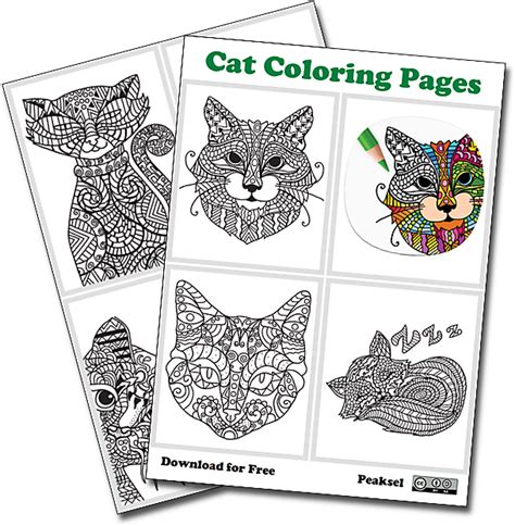 Cat Coloring Pages