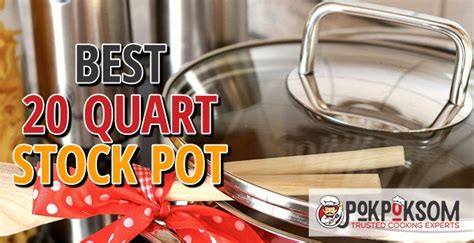 5 Best 20 Quart Stock Pots (Reviews Updated 2022)