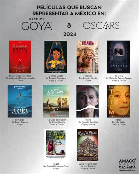 Conoce cuáles son las películas mexicanas que buscan llegar al Oscar 2024