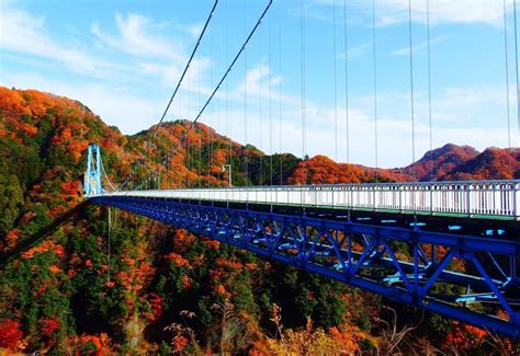 5 Perfect Day Trip Spots To Visit In Ibaraki Prefecture This Fall - Savvy Tokyo