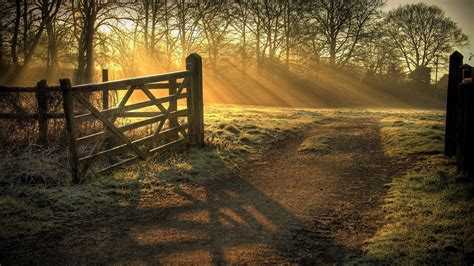 Trees Covered With Sunbeam Surrounded By Wood Fence Gate HD Country ...