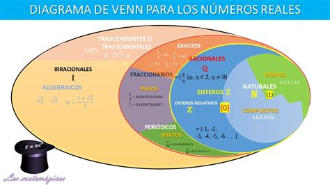 Hoja De Trabajo Del Diagrama De Venn Del Sistema De Números Reales