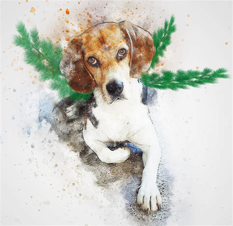 Flying Beagle | Mommess