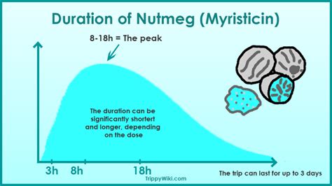 Nutmeg (Myristicin): Effects, Dosage, & More - TrippyWiki