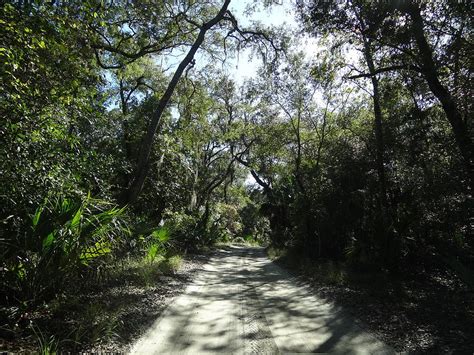 Backwoods Trail Photograph by John Koehler - Fine Art America