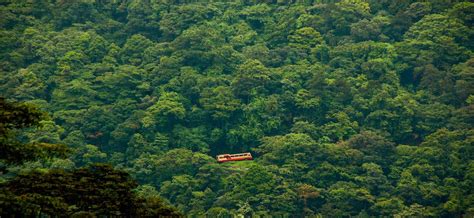 Let’s Take a Moment to Appreciate the Beauty of Wayanad