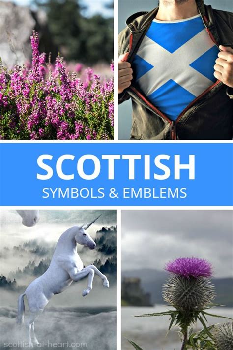 Scottish Symbols & Emblems | Scottish symbols, Scottish culture, Scottish ancestry