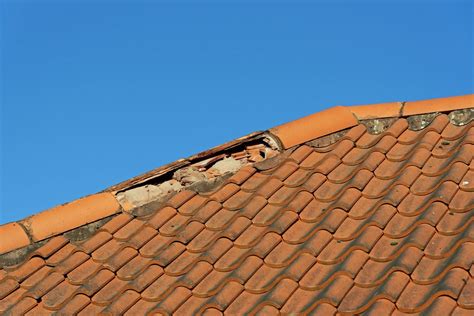 5 Common Signs of Roof Damage | S&J Roofing Bath