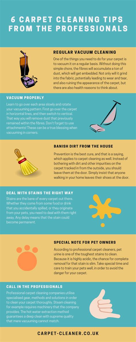 6 Carpet Cleaning Tips from the Professionals | Blog