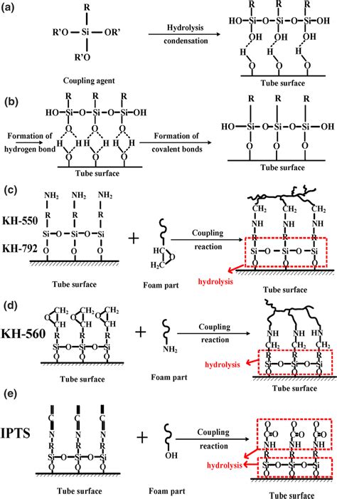 Mechanism of various coupling agents in coupling the tube–foam... | Download Scientific Diagram