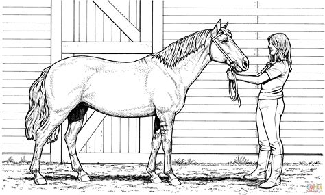 Printable Realistic Horse Coloring Page | Horse coloring books, Horse ...