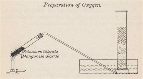 Origin and History of Oxygen Study by Humans - NYK Daily