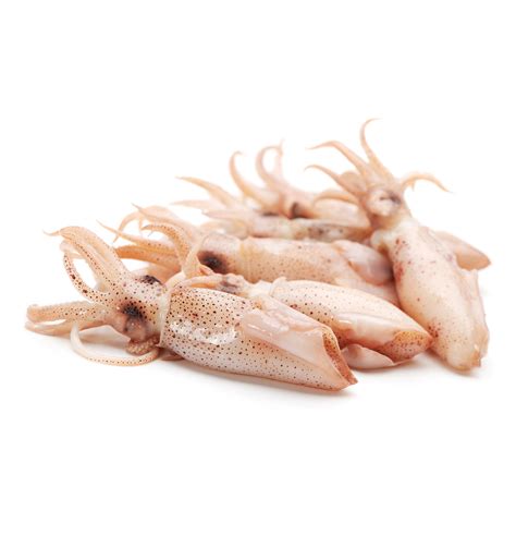 Loligo Squid - VIMA Foods