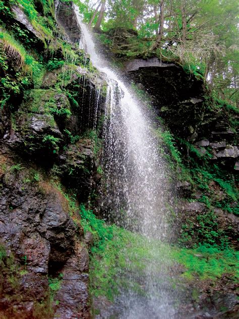 The Ashokan Center Celebrates Its 10-Year Anniversary