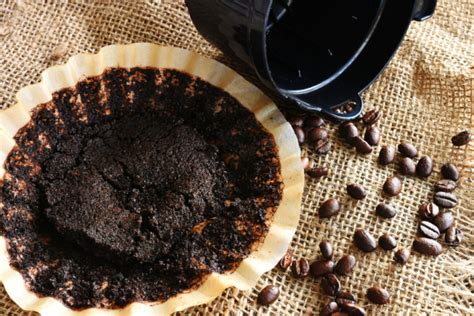 Ground Coffee 101: Ultimate Guide to Fresh Ground Coffee