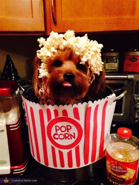 17 Best images about cool dog costumes on Pinterest | Best dogs, Dog ...