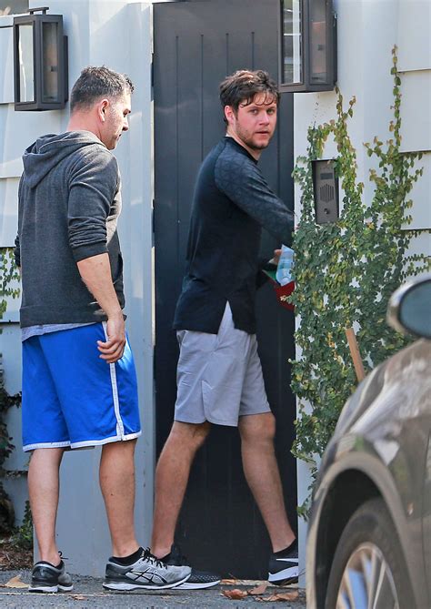 Niall Horan Arrives at a Friends House in Los Angeles – Celeb Donut