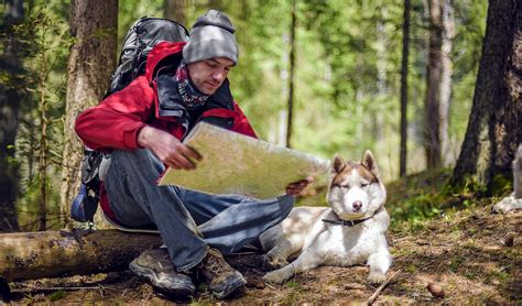 Dog Hiking Gear Guide: 13 Items You Need Before Going on a Hike With Dogs