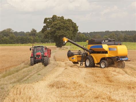 Harvesting barley 2 stock image. Image of barley, trees - 10257305