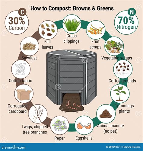 Infographic Of Garden Composting Bin With Scraps. What To Or Not To ...