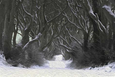 The Dark Hedges in the snow Photograph by Julia Inman - Fine Art America