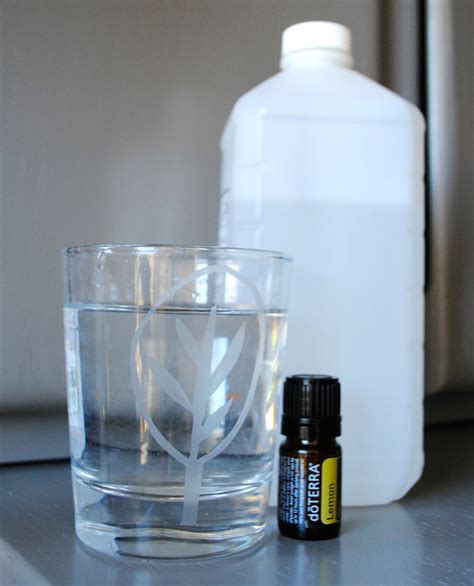 DIY Toilet Spray - TheMamasGirls