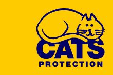 15. Avoiding stress and conflict, Cats Protection | UFO | Cats ...