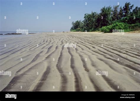 Kihim Beach, Maharashtra, India Stock Photo - Alamy